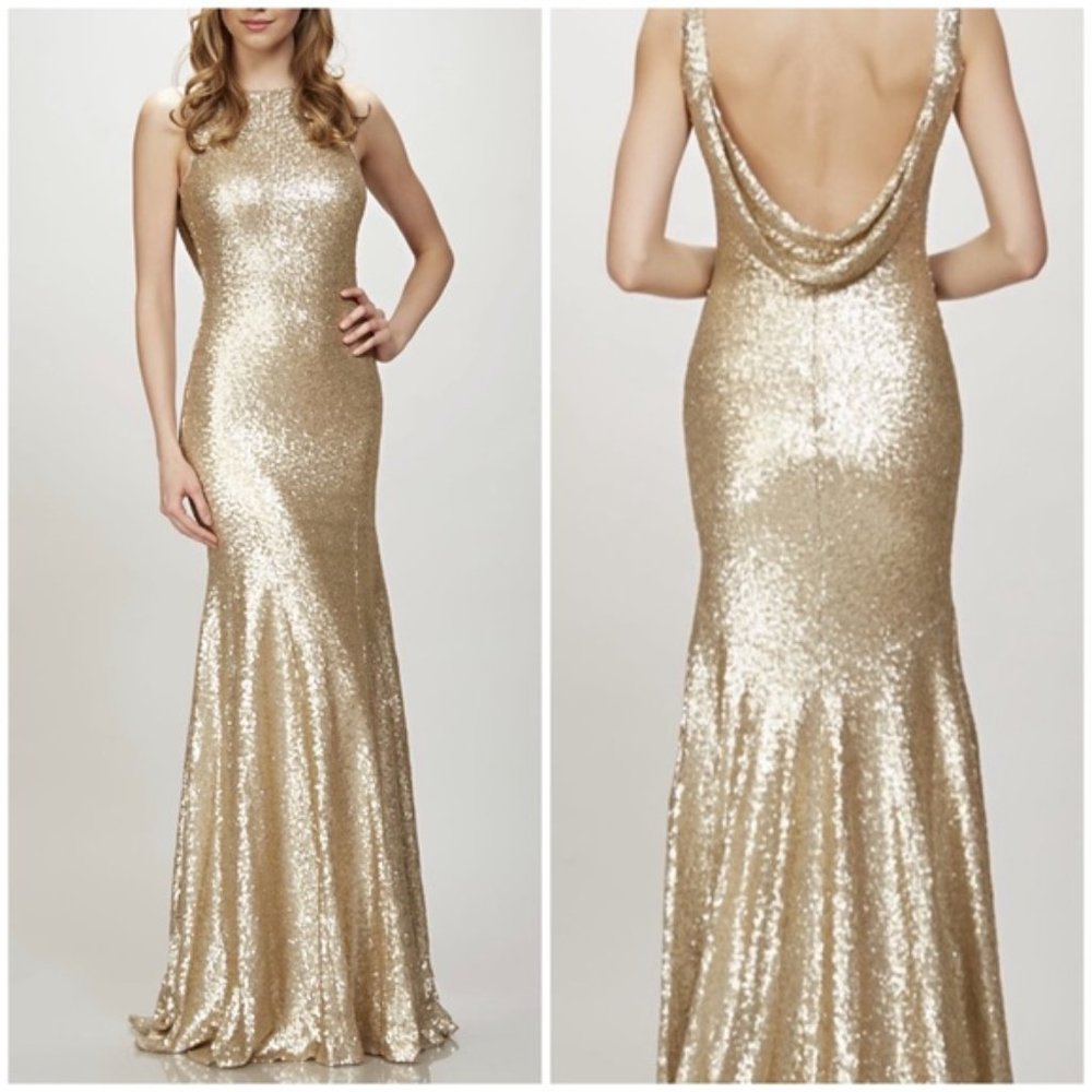 NWT Theia Gemma Sequin Dress in Garnet - Boat Neck with Scoop Back